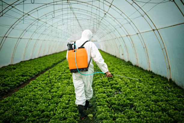 Best Mosquito Control Services  in Coon Rapids, IA