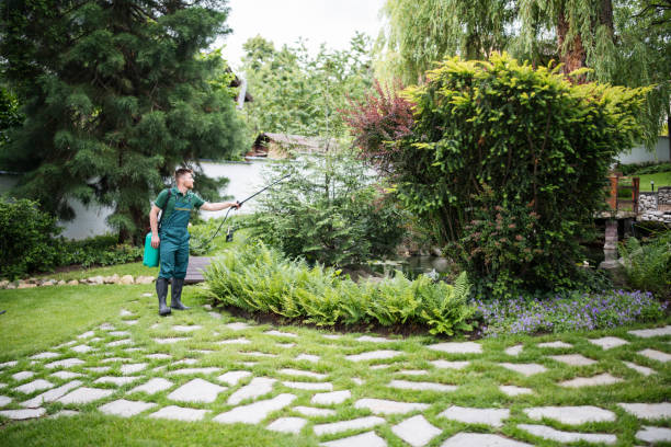 Best Wasp Removal Services  in Coon Rapids, IA