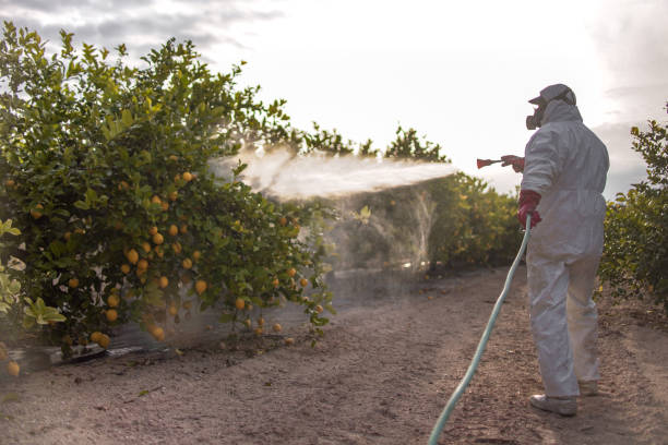 Pest Prevention Services in Coon Rapids, IA