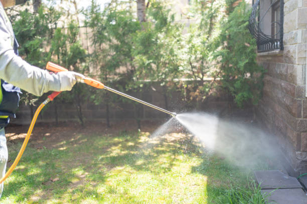 Reliable Coon Rapids, IA Pest Control Solutions