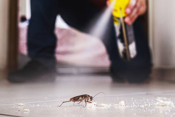 Wildlife Control Services in Coon Rapids, IA