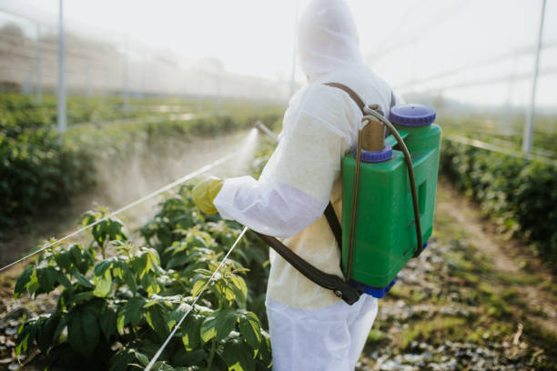 Best Affordable Pest Control Services  in Coon Rapids, IA
